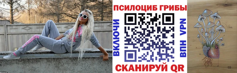 Купить закладки  Сланцы  Псилоцибиновые грибы Magic Shrooms 